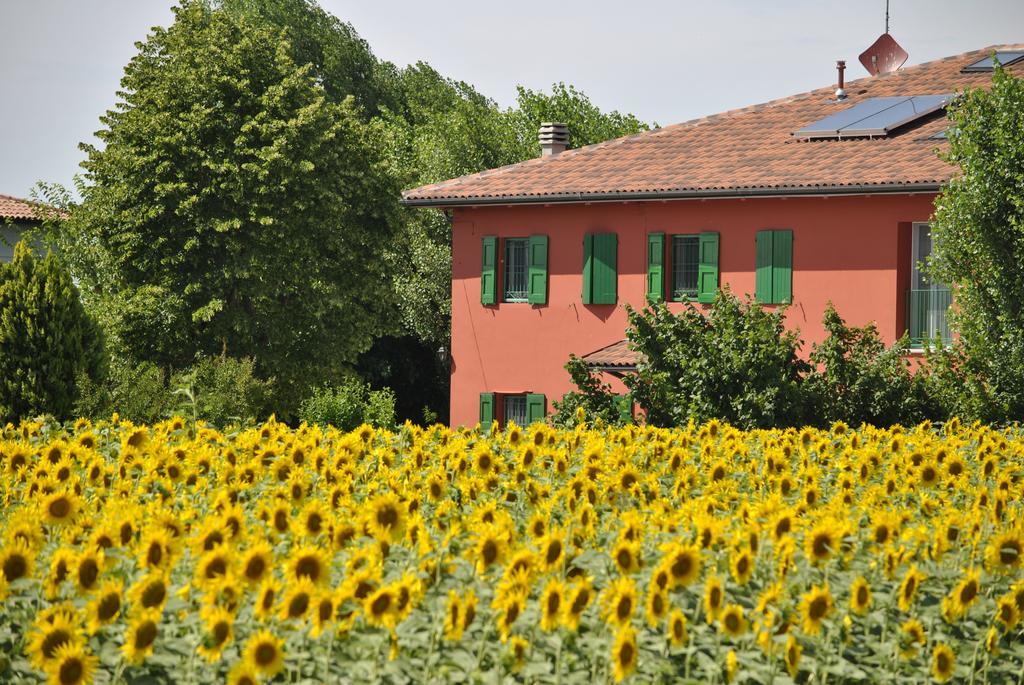 La Cascina B&B Кальдерара-ді-Рено Екстер'єр фото